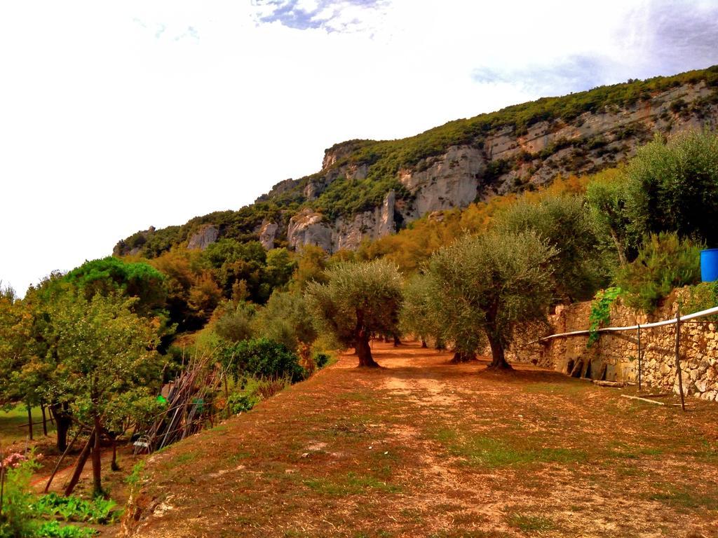 Agriturismo Ca' Magli Villa Orco Feglino Luaran gambar